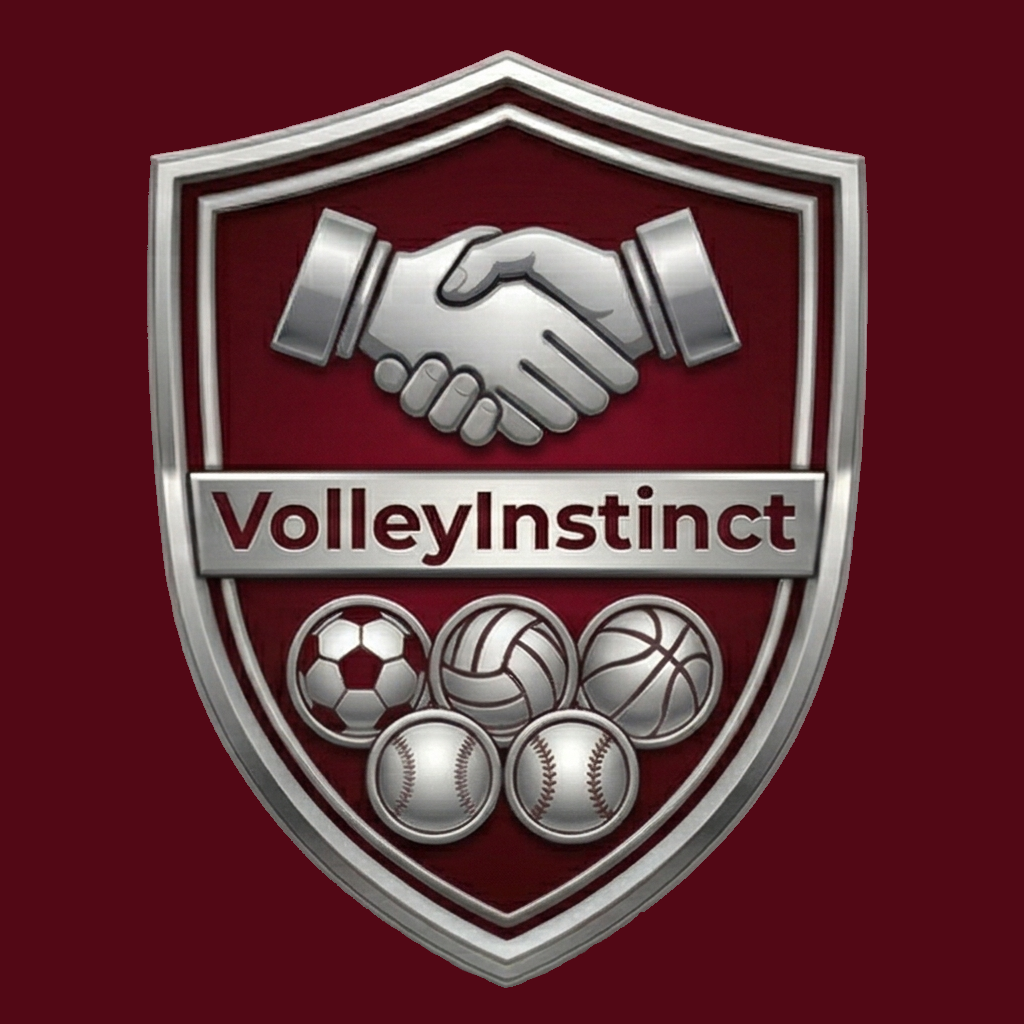 VolleyInstinct Logo
